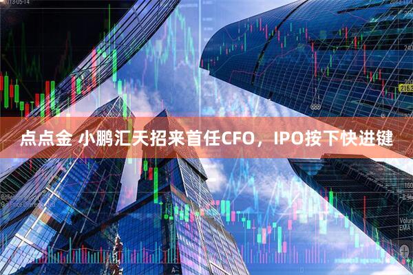 点点金 小鹏汇天招来首任CFO，IPO按下快进键