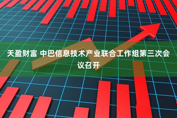 天盈财富 中巴信息技术产业联合工作组第三次会议召开