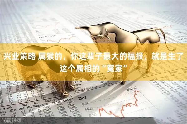 兴业策略 属猴的，你这辈子最大的福报，就是生了这个属相的“冤家”