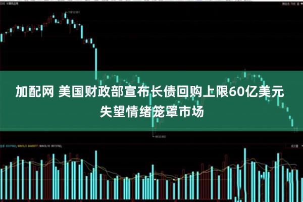 加配网 美国财政部宣布长债回购上限60亿美元 失望情绪笼罩市场